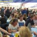 Dierendag actie bij dierenarts Holten dierenarts 