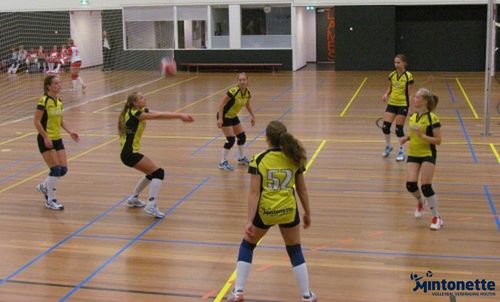 Met degelijk volleybal winst voor meiden B2 mintonette 