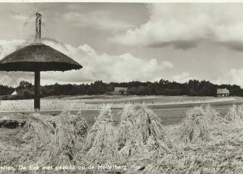 Verhalend over de Holterberg natuurdiorama gemeente 