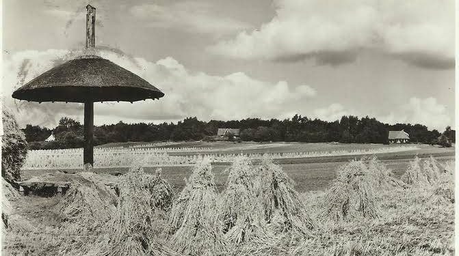 HoltensNieuws.nl Verhalend over de Holterberg Verhalend over de Holterberg natuurdiorama gemeente