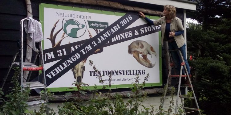 HoltensNieuws.nl ‘Bones&Stones’ Wegens succes verlengd ‘Bones&Stones’ Wegens succes verlengd natuurdiorama
