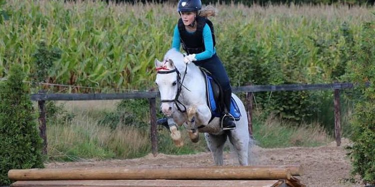 Crossweekeinde op Manege Snorrewind snorrewind 