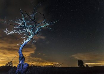 Verhalend over de Holterberg natuurdiorama gemeente 