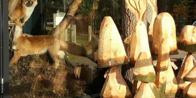 Herfstvakantie op de Holterberg natuurdiorama 