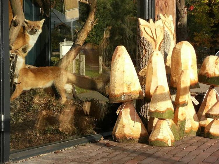 Herfstvakantie op de Holterberg natuurdiorama 