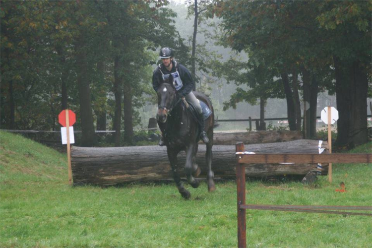 Samengestelde Wedstrijd bij Manege Snorrewind 2015 snorrewind 