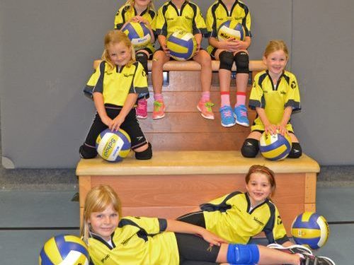 CMV niveau 2 wint twee keer overtuigend mintonette 