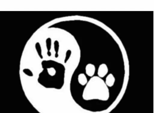 HoltensNieuws.nl Hondenliefhebber met respect voor wild zoekt hulp Hondenliefhebber met respect voor wild zoekt hulp gemeente