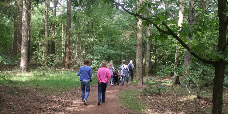 Wandeling voor ouders van kinderen met autisme 