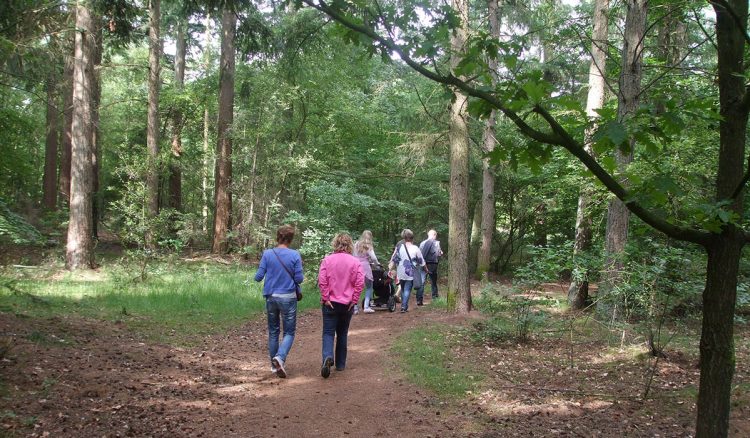 Sallandse wandel voorjaarstocht espelo 