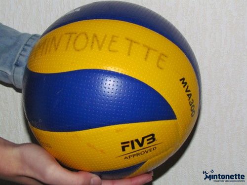 Recreatief volleybaltoernooi Mintonette mintonette 