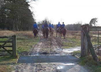 Snorrewind zoekt sportieve teams voor goed doel snorrewind 