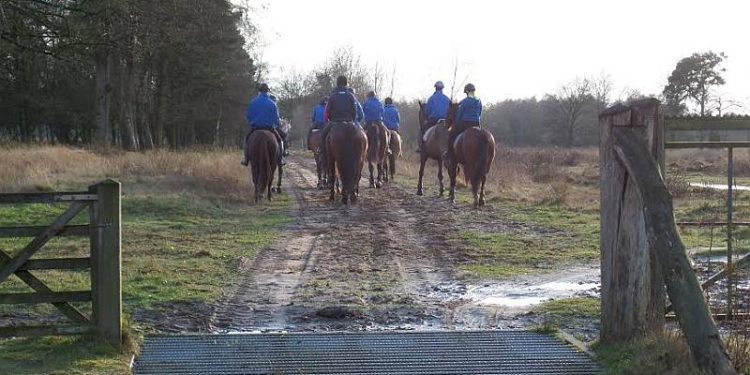 HoltensNieuws.nl Buitenrit te paard met Kerst Buitenrit te paard met Kerst snorrewind