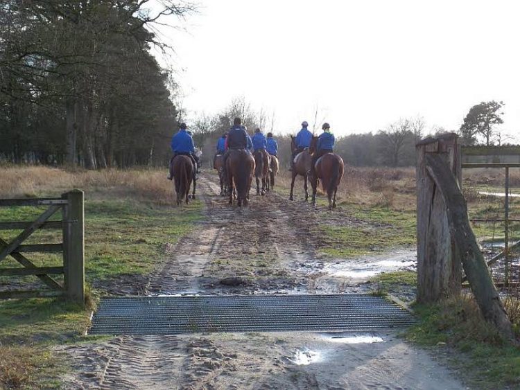 Buitenrit te paard met Kerst snorrewind 