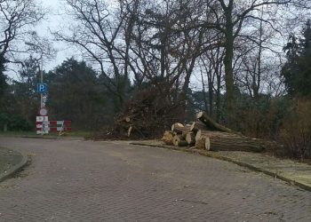 Leerkrachten van de Haarschool konden met kerst weer even kind zijn haarschool 
