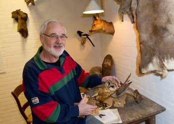 Verhalend over de Holterberg natuurdiorama gemeente 