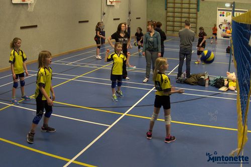 Winst en verlies voor CMV 2 en CMV 3 mintonette 