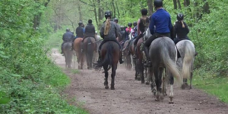 HoltensNieuws.nl Paasritten te paard Paasritten te paard snorrewind