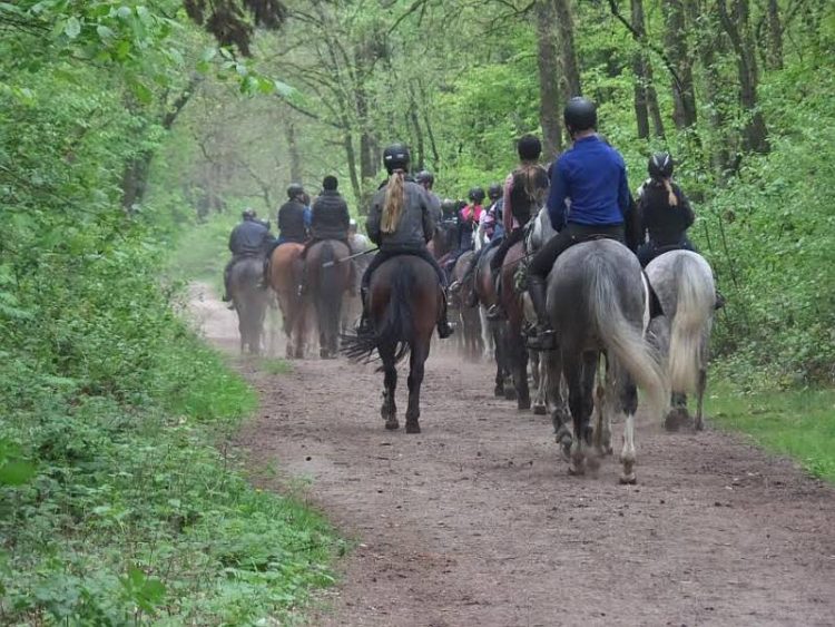 Paasritten te paard snorrewind 