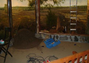 Dauwwandelen en ontbijt op de Holterberg natuurdiorama 