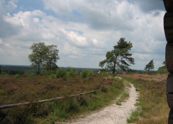 Dauwwandelen en ontbijt op de Holterberg natuurdiorama 