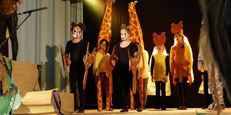 HoltensNieuws.nl Lionking Haarschool in Irene Lionking Haarschool in Irene haarschool