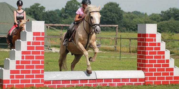 HoltensNieuws.nl Open dag bij manege ‘ Stal de Eik’ Open dag bij manege ‘ Stal de Eik’