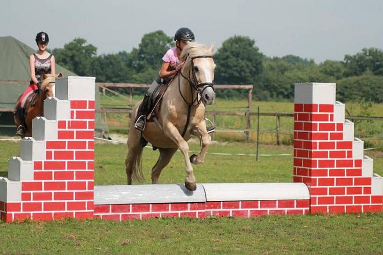 Open dag bij manege ‘ Stal de Eik’ 