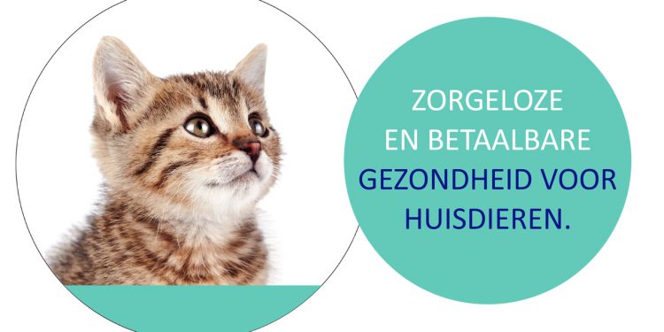Nieuw bij Dierenarts Holten dierenarts 