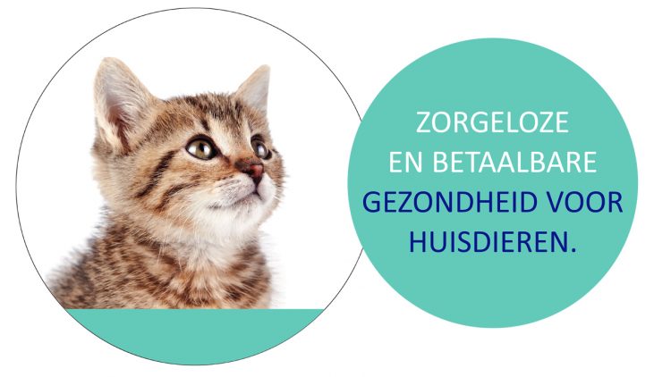 Nieuw bij Dierenarts Holten dierenarts 
