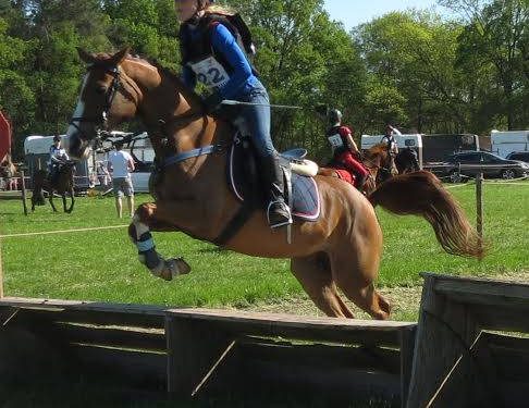 HoltensNieuws.nl Snorrewind SGW Snorrewind SGW snorrewind