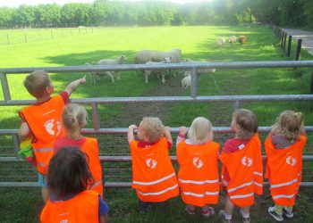 Nieuwe yoga- en trainingsruimte 