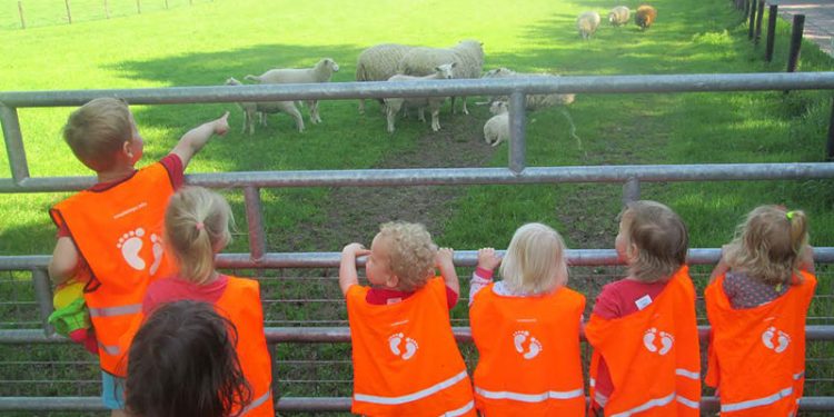 HoltensNieuws.nl smallsteps Kakelbont start met peuteropvang smallsteps Kakelbont start met peuteropvang