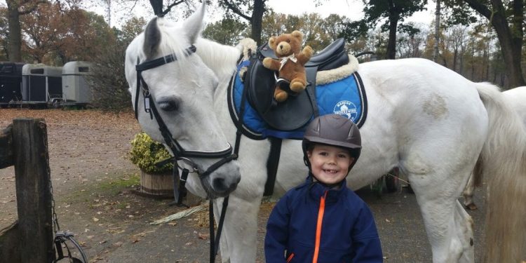 HoltensNieuws.nl Veulenles voor jonge kinderen bij Snorrewind Veulenles voor jonge kinderen bij Snorrewind snorrewind