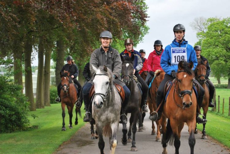 Enjoy the Ride bij manege Snorrewind snorrewind 