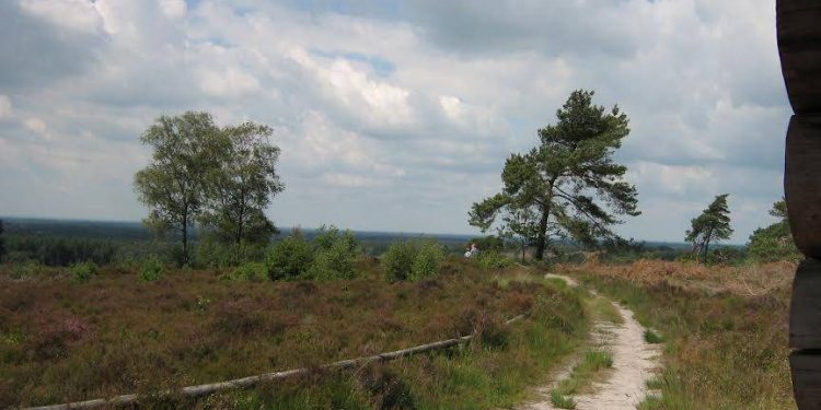 HoltensNieuws.nl Avondwandeling, het donker tegemoet Avondwandeling, het donker tegemoet natuurdiorama