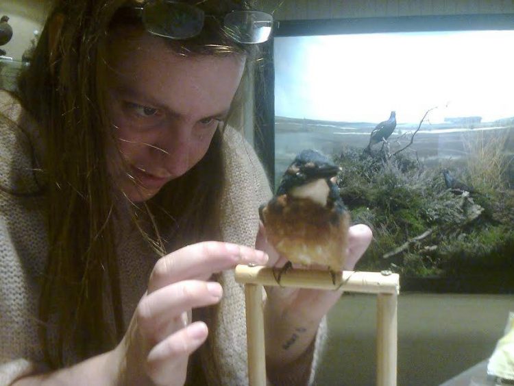 Demonstratie prepareren bij Natuurmuseum Holterberg natuurdiorama 