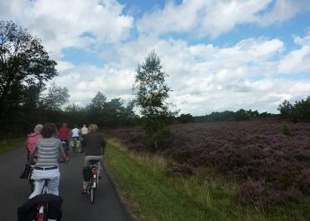 Dauwwandelen en ontbijt op de Holterberg natuurdiorama 