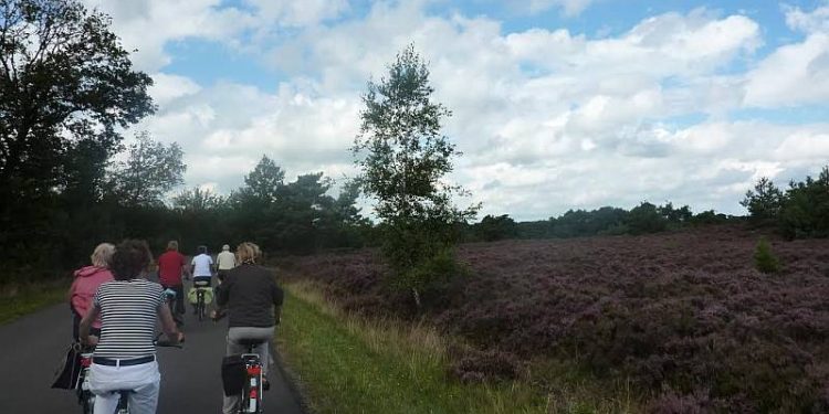 Heide Experience op de fiets natuurdiorama 
