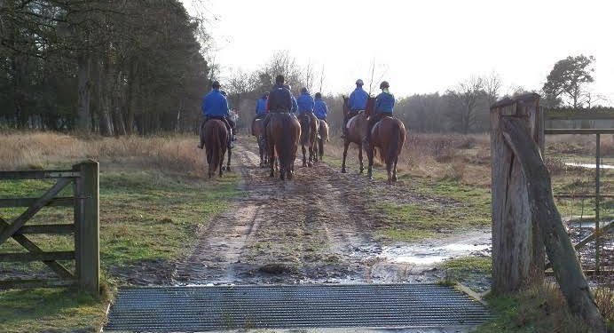 HoltensNieuws.nl Recreanten TREC Snorrewind Recreanten TREC Snorrewind snorrewind