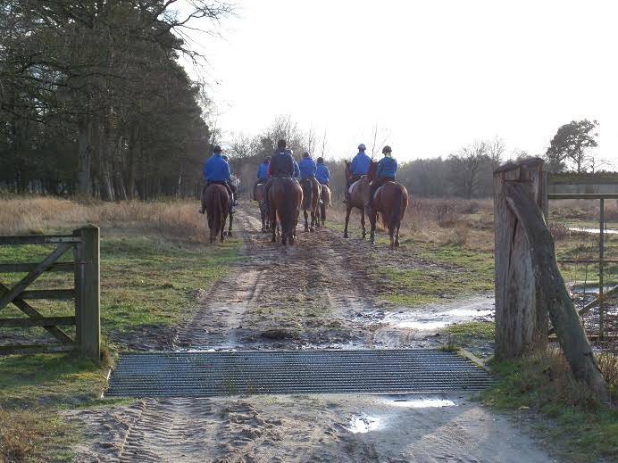 Recreanten TREC Snorrewind snorrewind 
