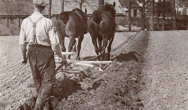 HoltensNieuws.nl Nostalgische ploeg demonstratie Nostalgische ploeg demonstratie