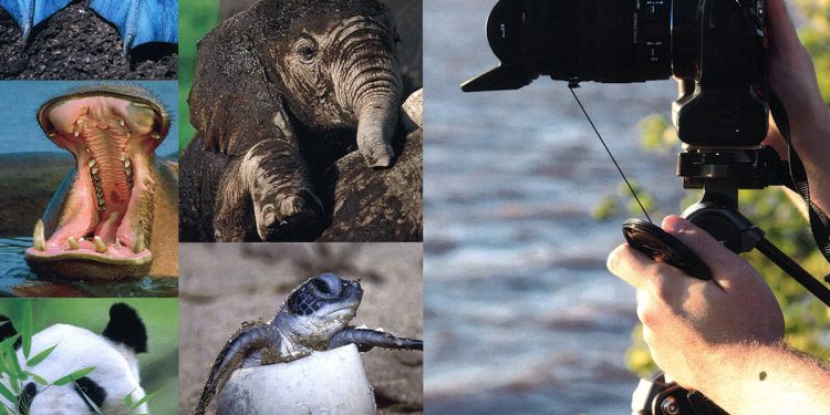 HoltensNieuws.nl WNF-fotoworkshop op de Holterberg WNF-fotoworkshop op de Holterberg