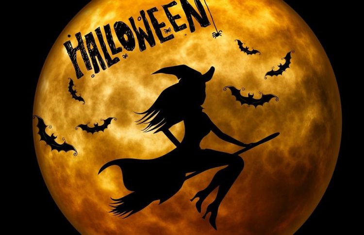 Halloweenparty bij Daglicht daglicht 