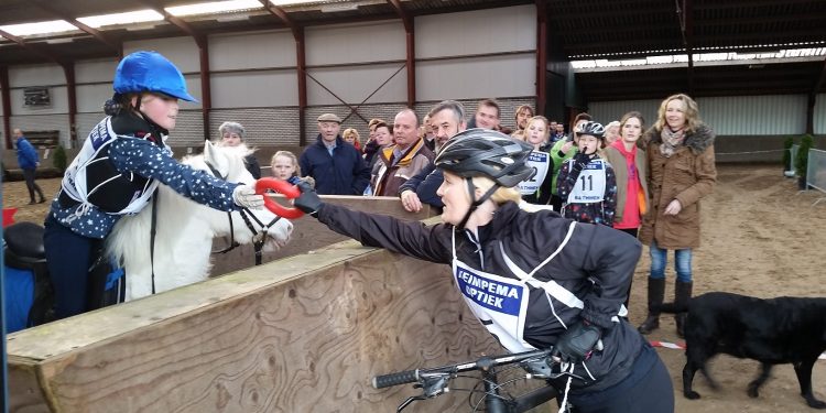 HoltensNieuws.nl Snorrewind voor Villa Joep zoekt Hippolon teams Snorrewind voor Villa Joep zoekt Hippolon teams snorrewind