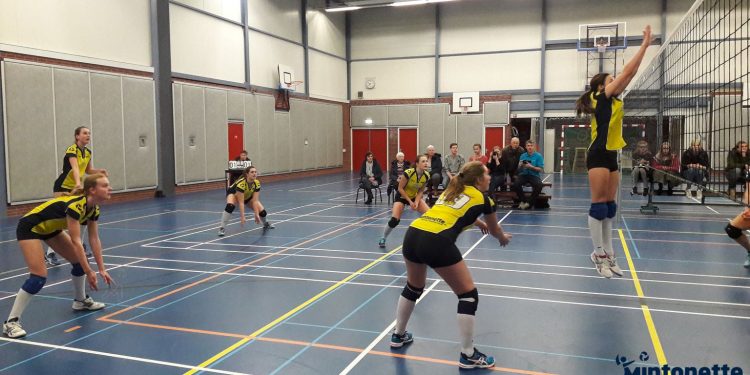 D1 Mintonette start de kerstvakantie met bevochten winst mintonette 