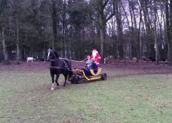 Gezellige zomerfair met Optreden Hoolter Daansers zomerfair espelo dondertman 