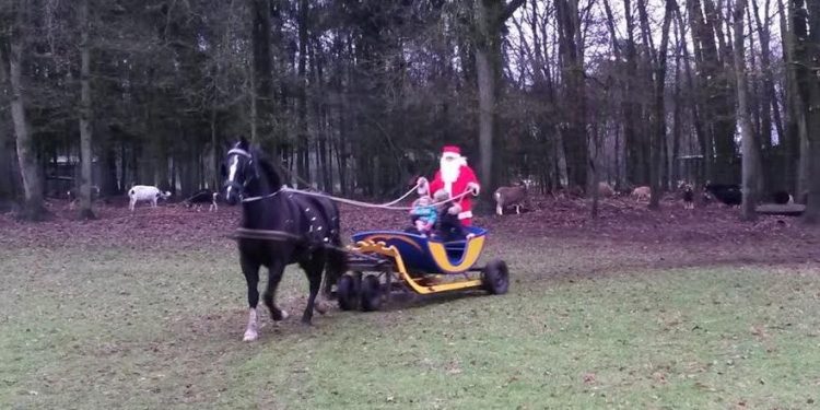 Winterpret bij Dondertman espelo dondertman 