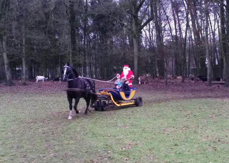 Winterpret bij Dondertman espelo dondertman 