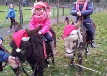 Bomvol kerstprogramma bij Kinderboerderij Dondertman toontje espelo dondertman bie toontje 